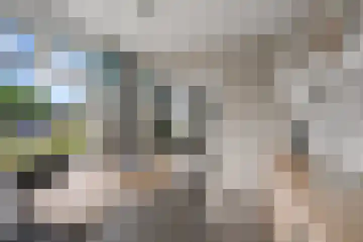 Oosteinde 21 Schermerhorn thumbnail 14