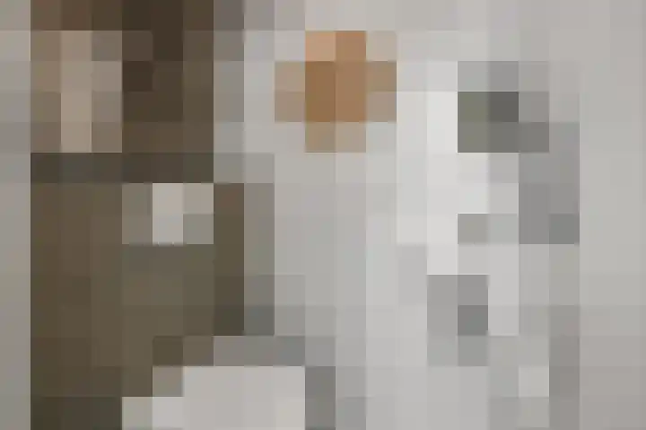 Oosteinde 21 Schermerhorn thumbnail 18
