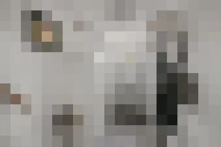 Oosteinde 21 Schermerhorn thumbnail 20