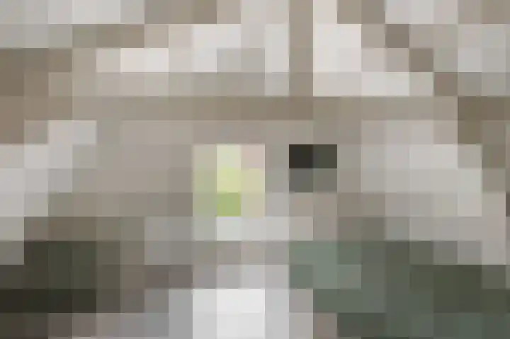 Oosteinde 21 Schermerhorn thumbnail 22