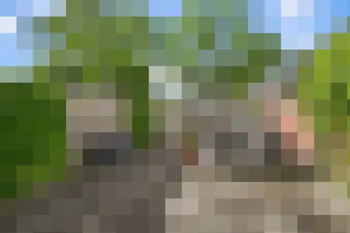 Oosteinde 21 Schermerhorn thumbnail 37