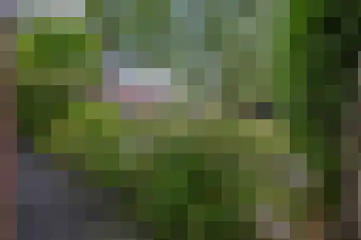 Oosteinde 21 Schermerhorn thumbnail 39