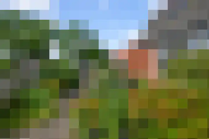 Oosteinde 21 Schermerhorn thumbnail 40