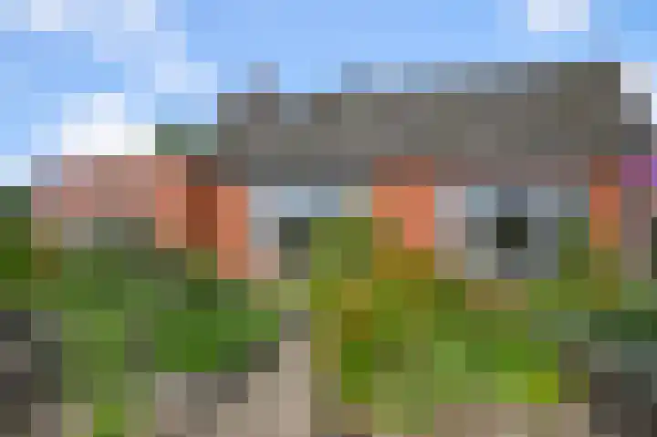 Oosteinde 21 Schermerhorn thumbnail 41