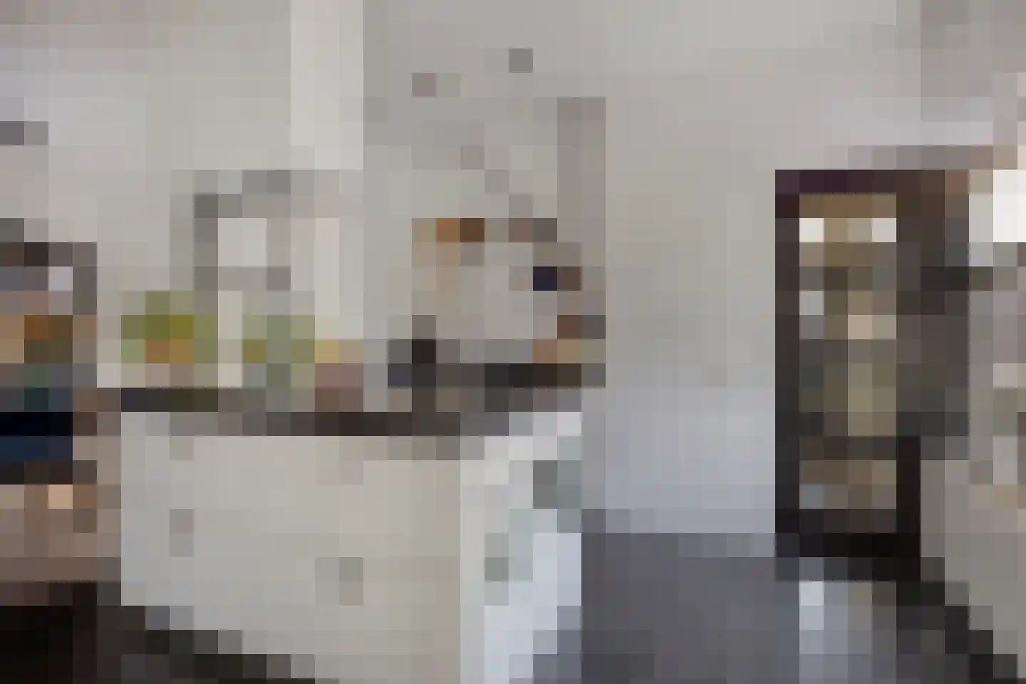Oosteinde 21 Scherpenzeel thumbnail 13