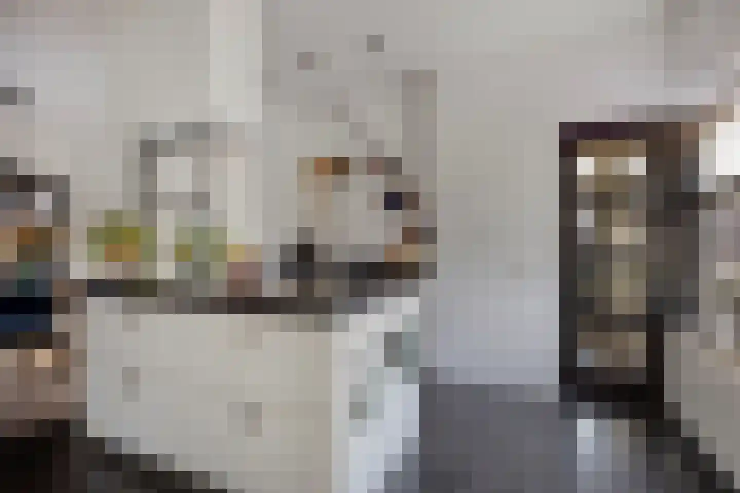 Oosteinde 21 Scherpenzeel thumbnail 14