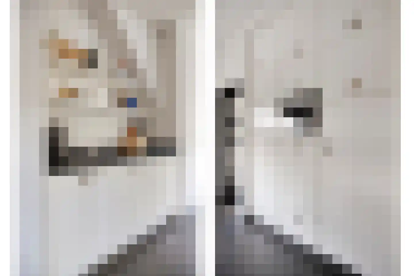 Oosteinde 21 Scherpenzeel thumbnail 15