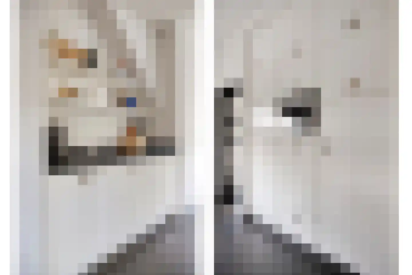 Oosteinde 21 Scherpenzeel thumbnail 16