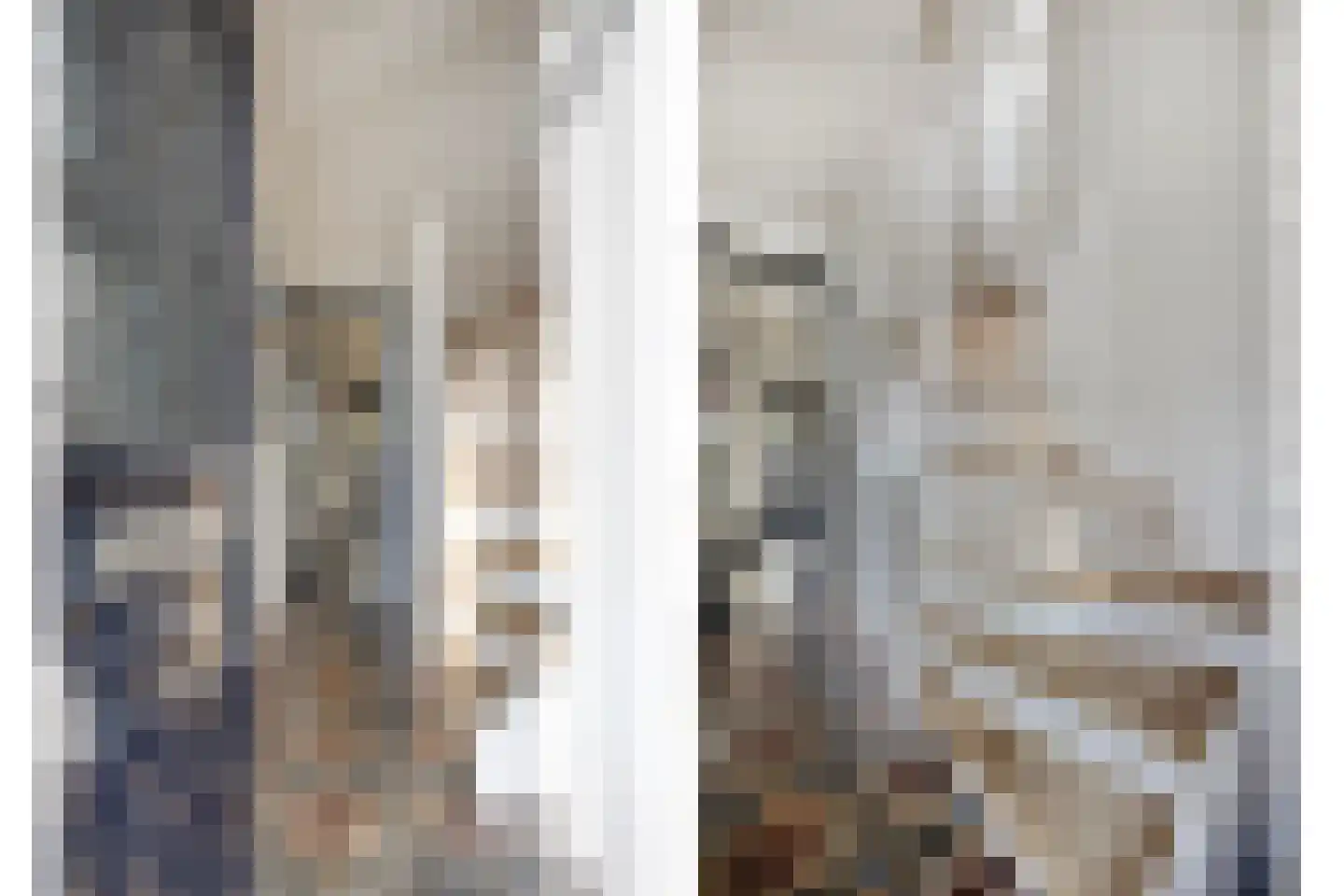 Oosteinde 21 Scherpenzeel thumbnail 23