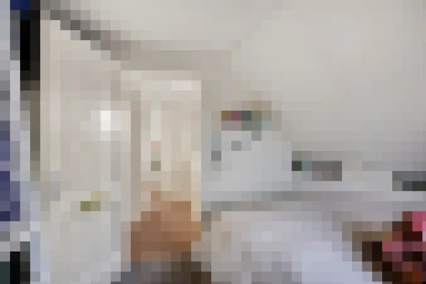 Oosteinde 21 Scherpenzeel thumbnail 28