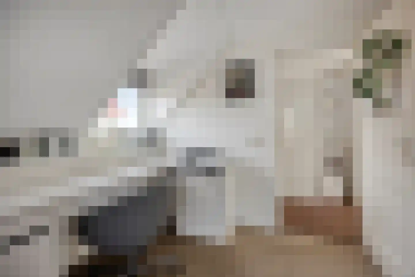 Oosteinde 21 Scherpenzeel thumbnail 29