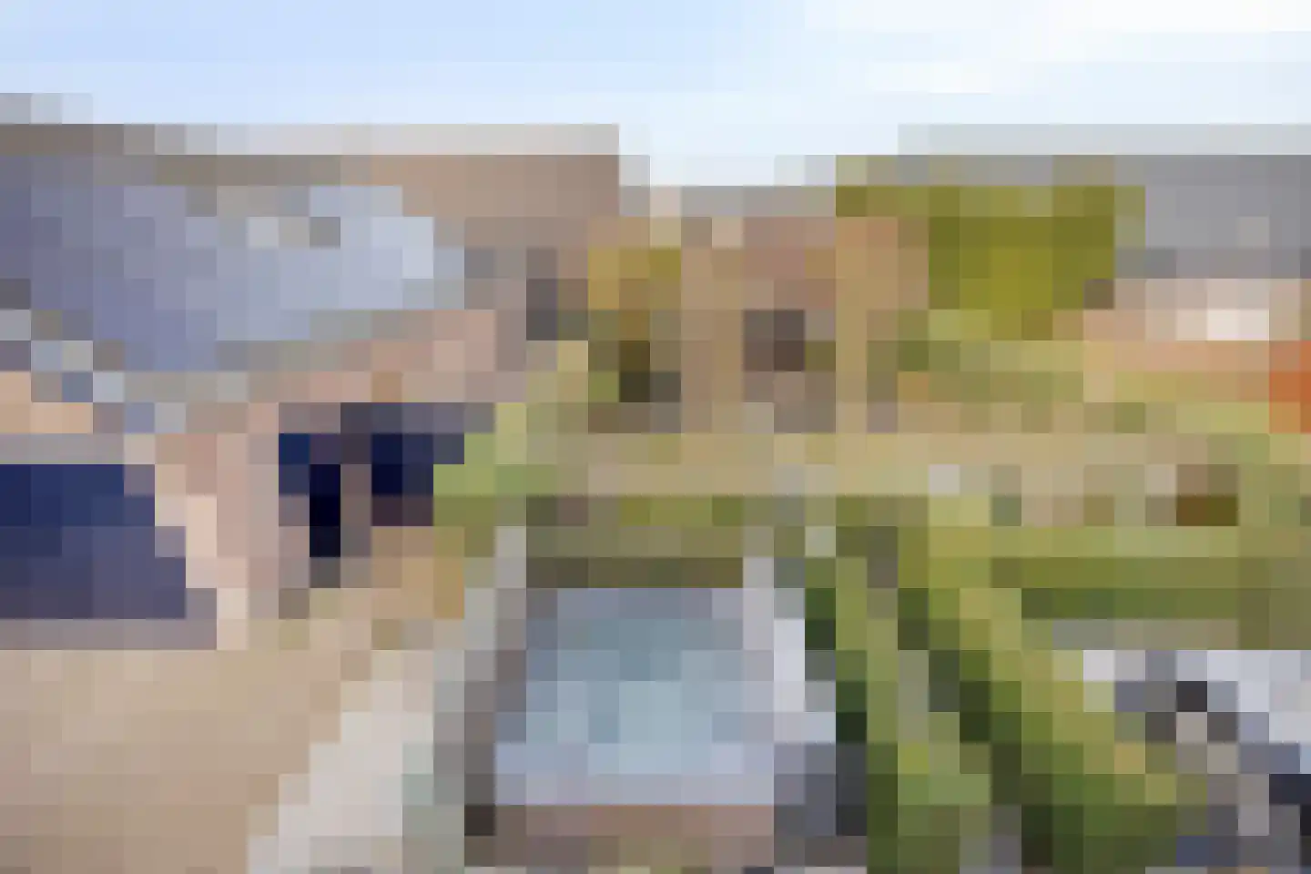 Oosteinde 21 Scherpenzeel thumbnail 30