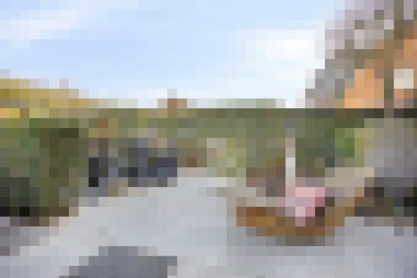 Oosteinde 21 Scherpenzeel thumbnail 34