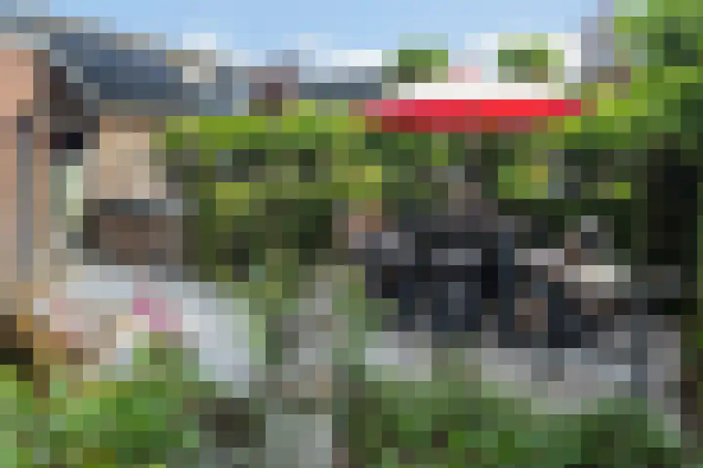 Oosteinde 21 Scherpenzeel thumbnail 34
