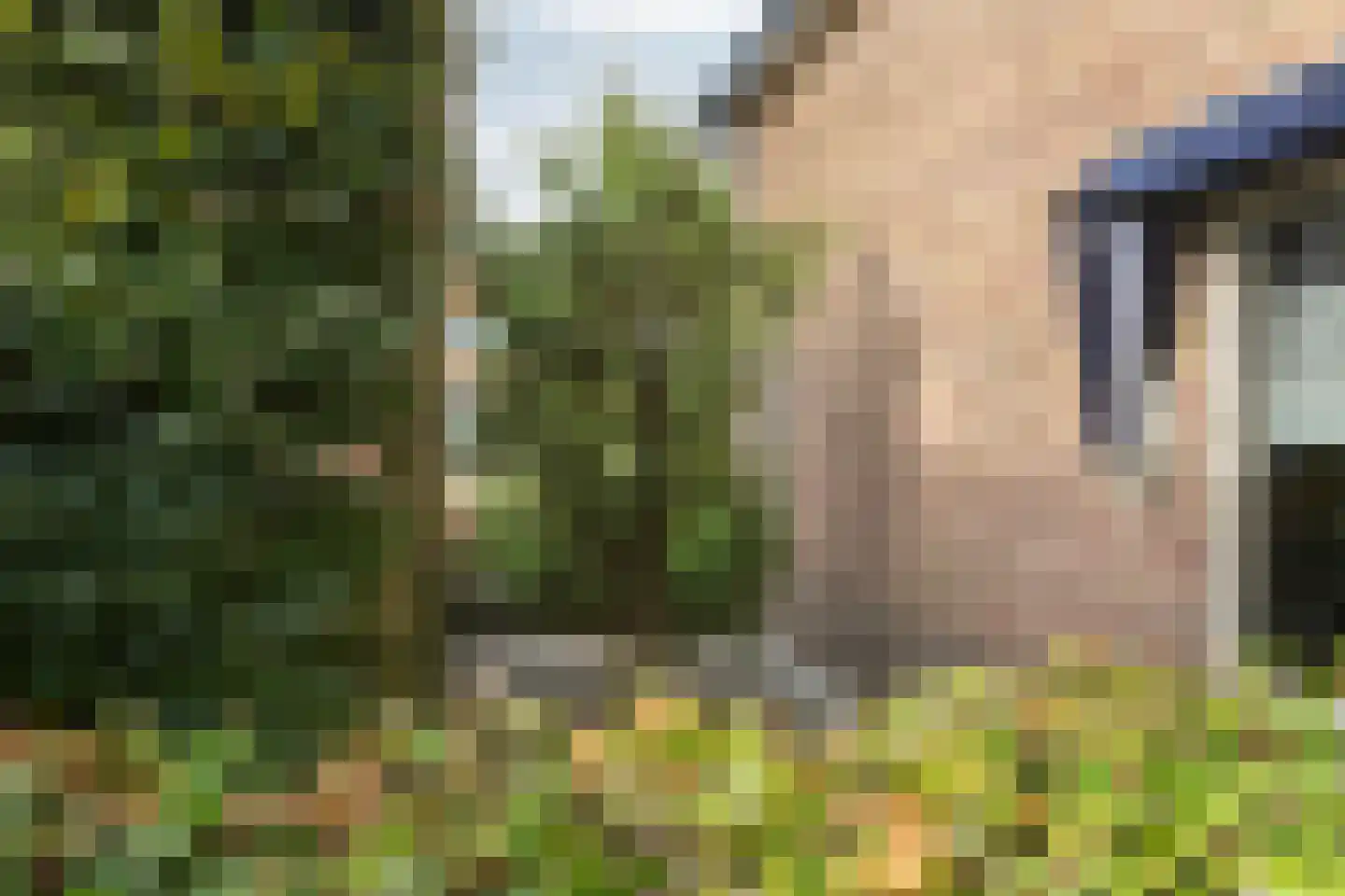 Oosteinde 21 Scherpenzeel thumbnail 35