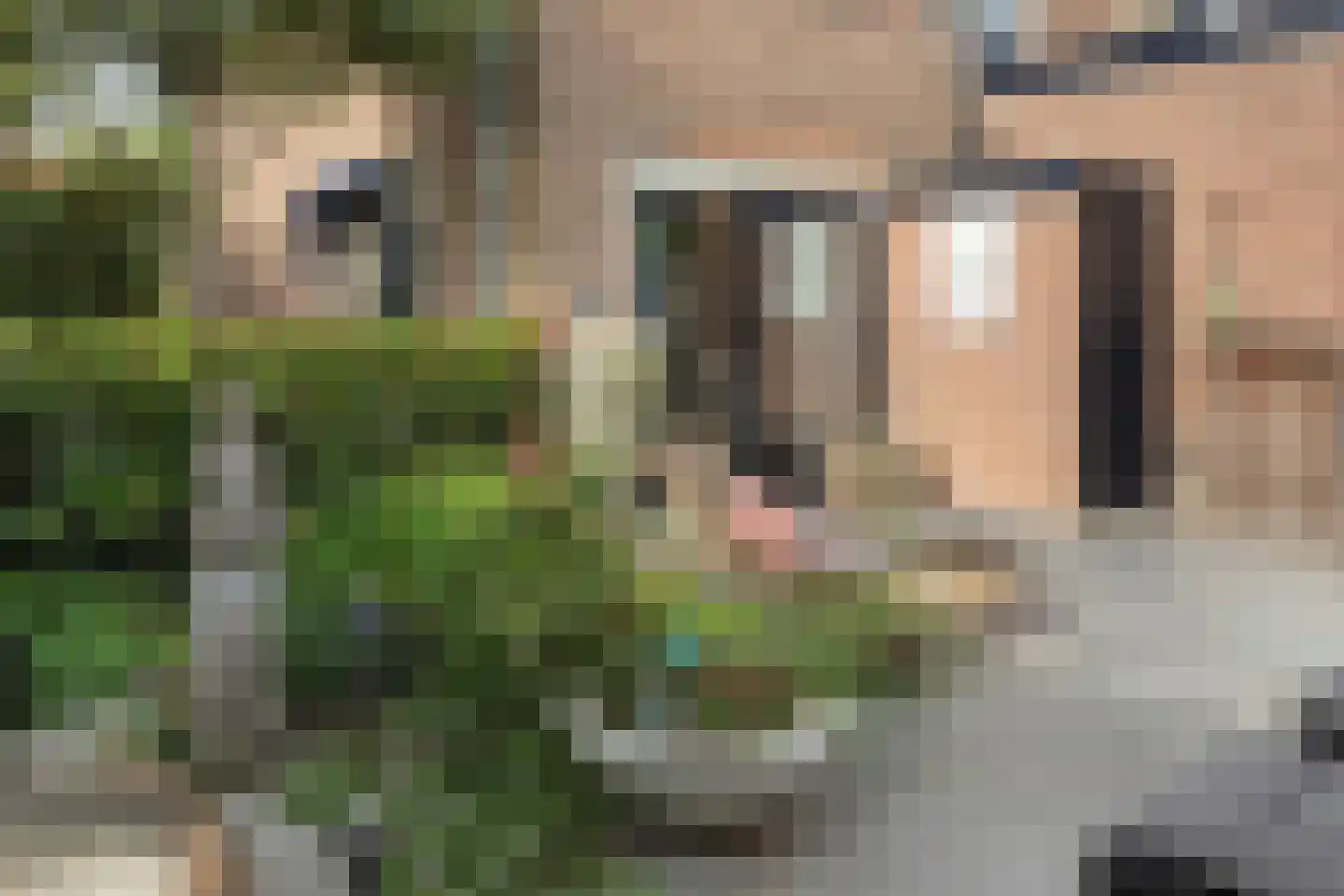 Oosteinde 21 Scherpenzeel thumbnail 36