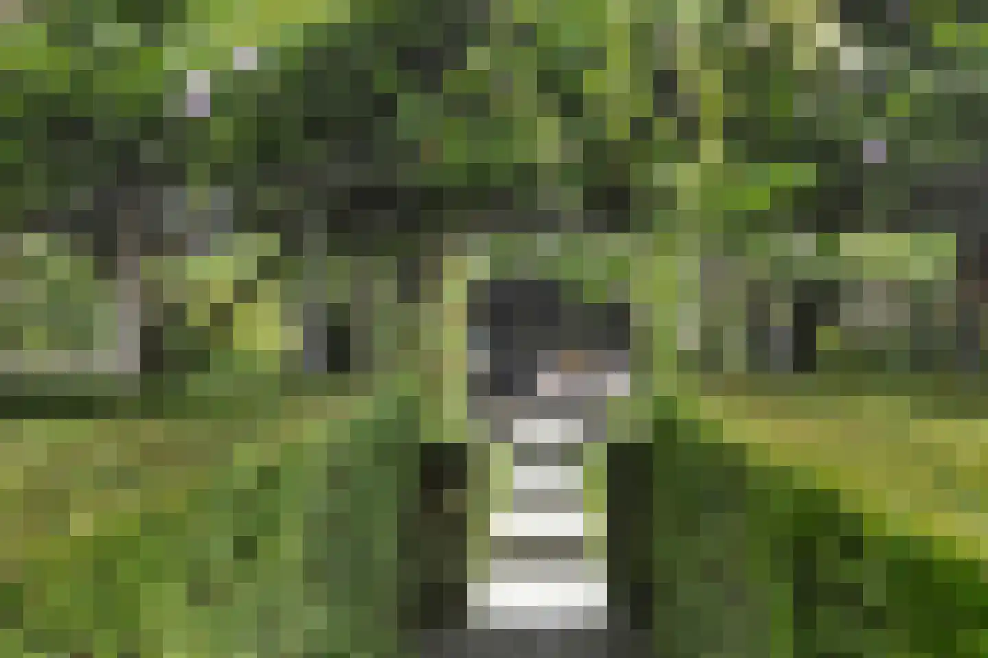Oosteinde 21 Scherpenzeel thumbnail 37