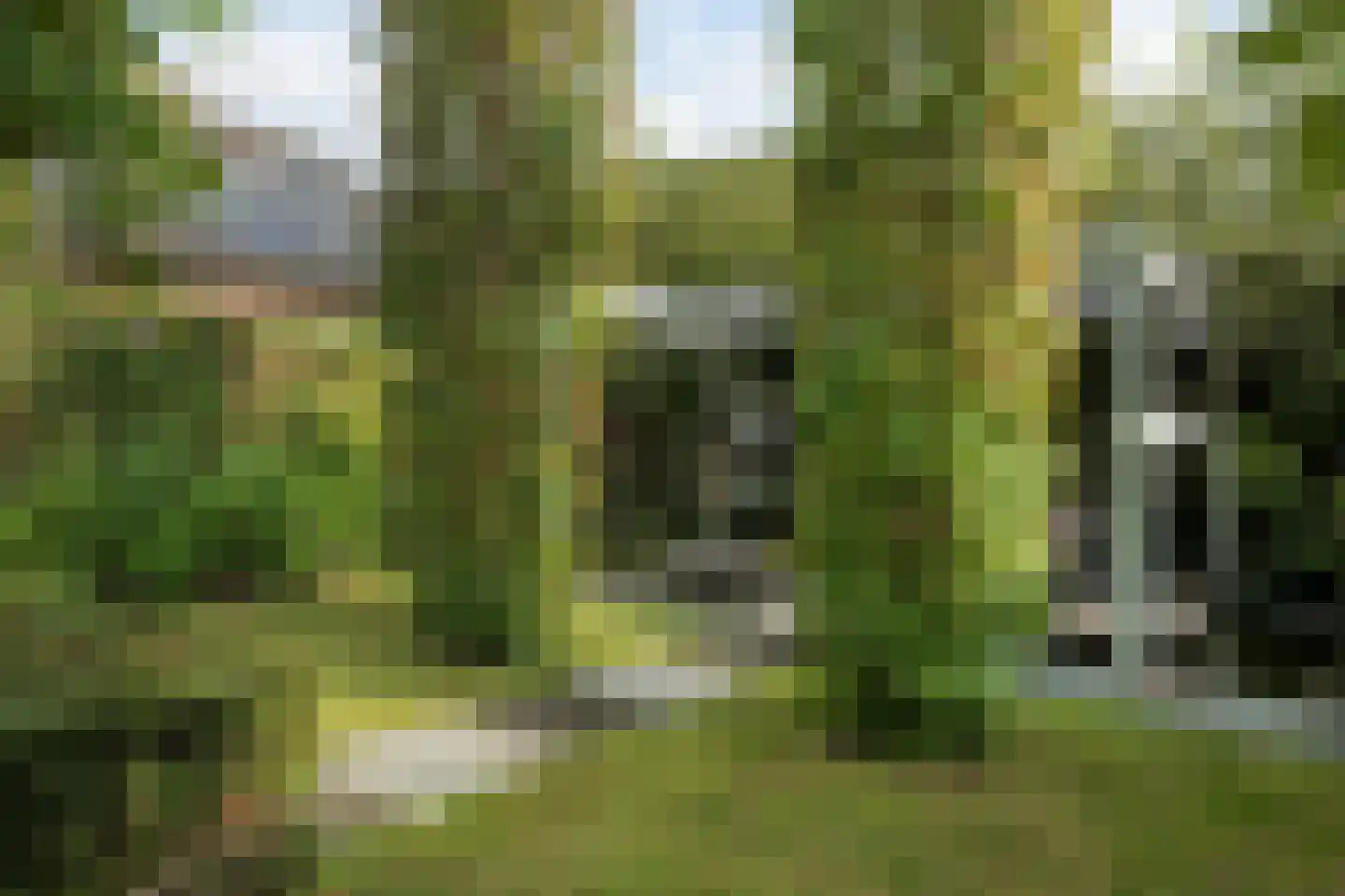 Oosteinde 21 Scherpenzeel thumbnail 38