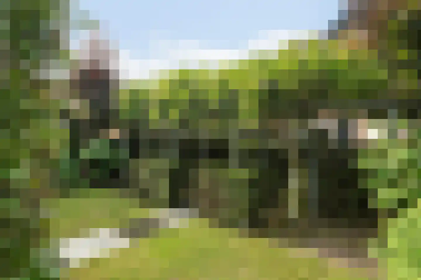 Oosteinde 21 Scherpenzeel thumbnail 39