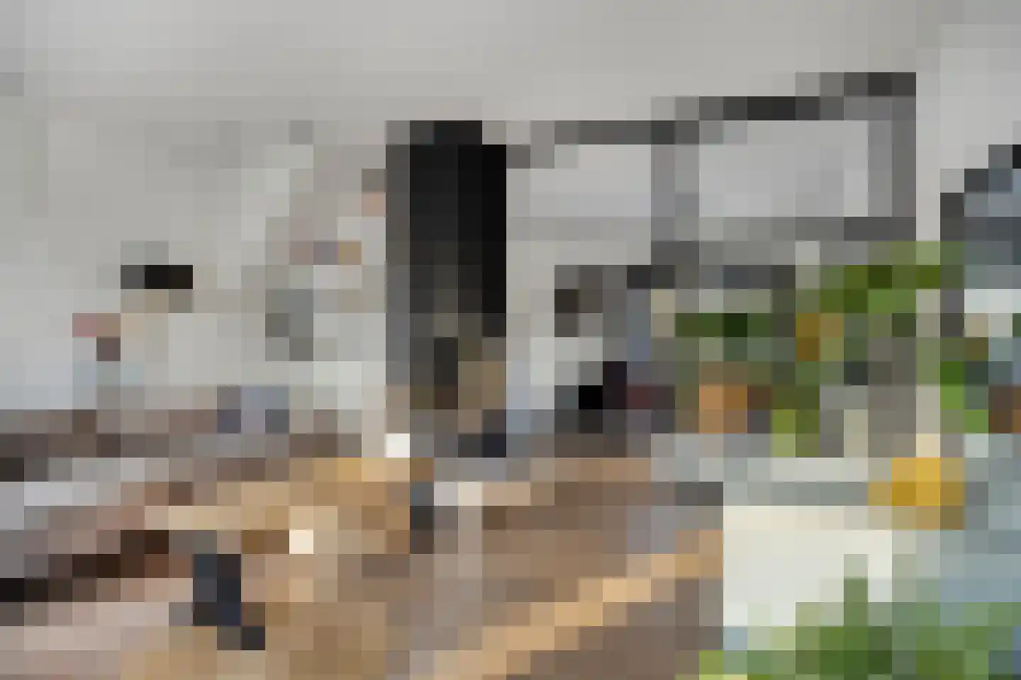 Oosteinde 21 Scherpenzeel thumbnail 4