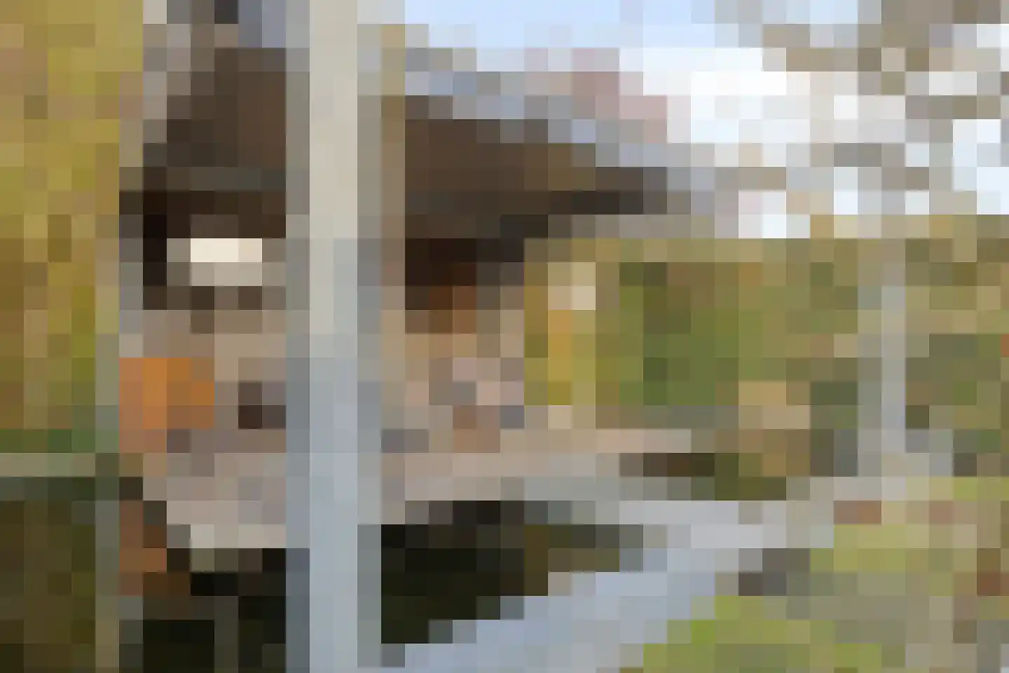 Oosteinde 21 Scherpenzeel thumbnail 40