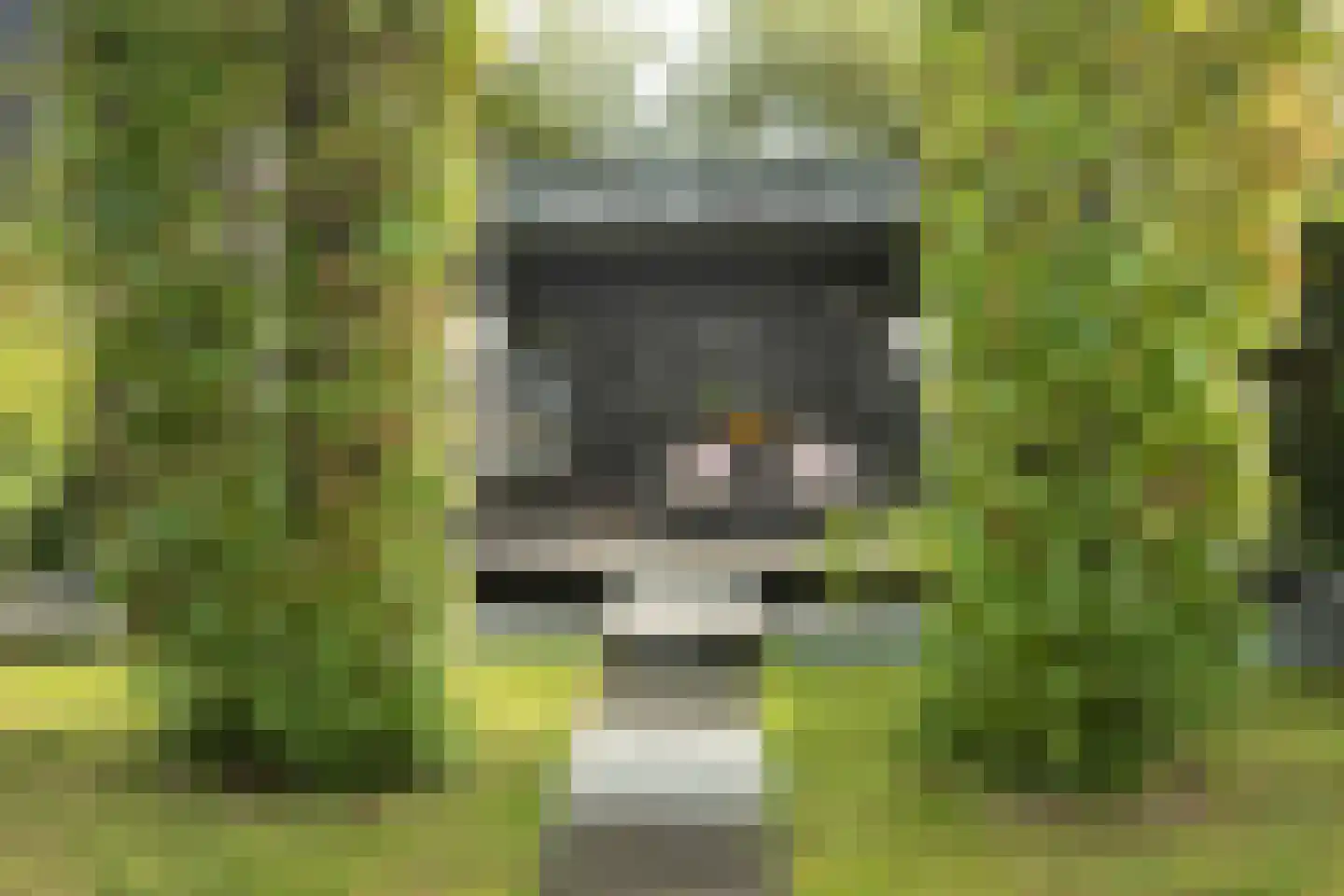 Oosteinde 21 Scherpenzeel thumbnail 40