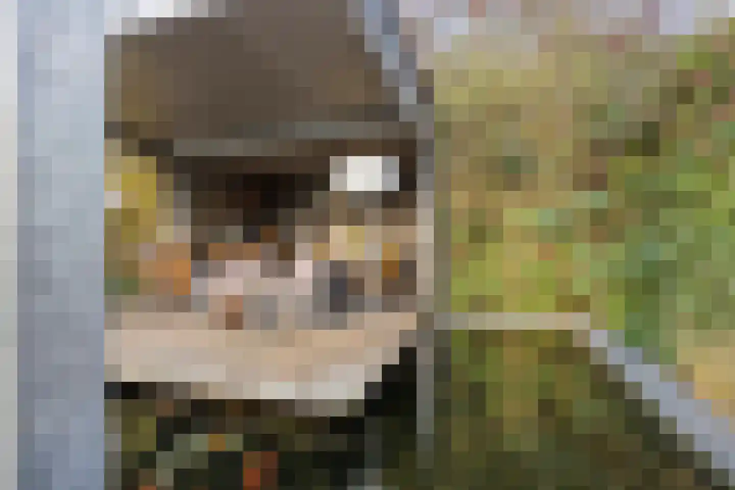 Oosteinde 21 Scherpenzeel thumbnail 41