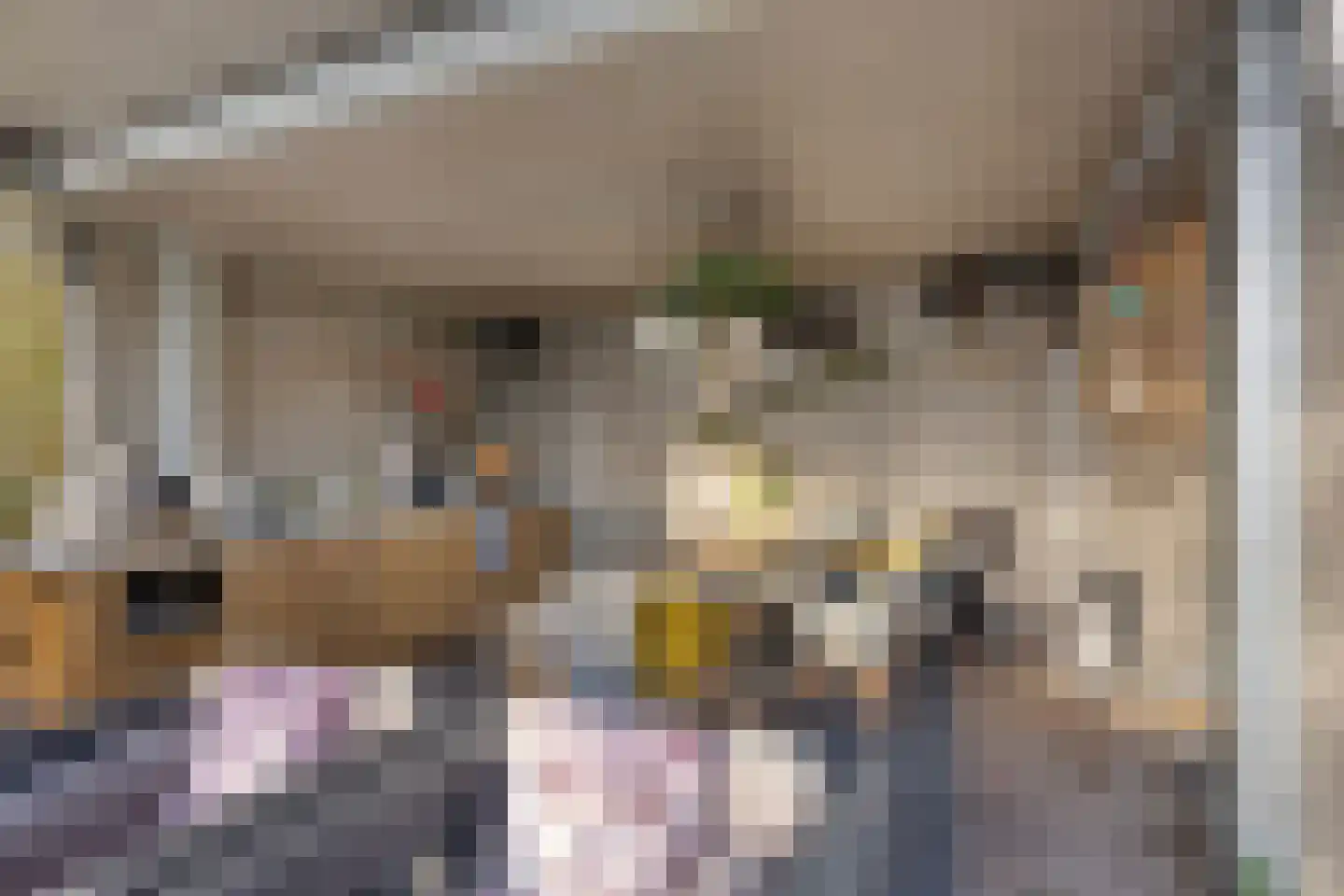 Oosteinde 21 Scherpenzeel thumbnail 42