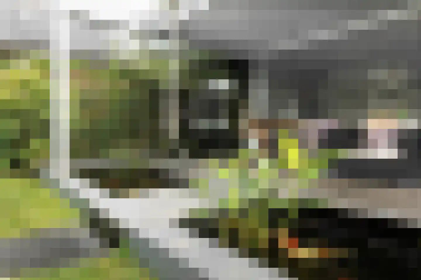 Oosteinde 21 Scherpenzeel thumbnail 42