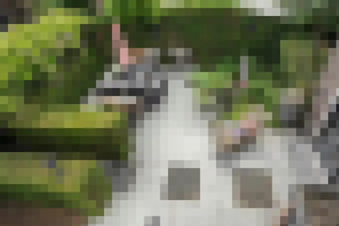 Oosteinde 21 Scherpenzeel thumbnail 43