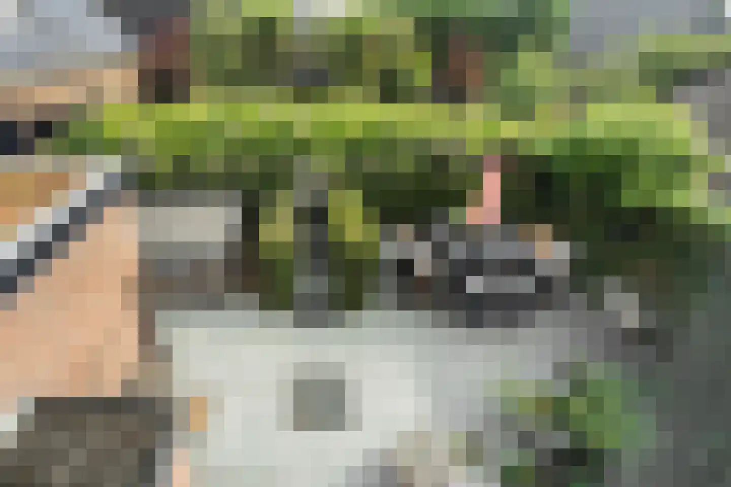 Oosteinde 21 Scherpenzeel thumbnail 44