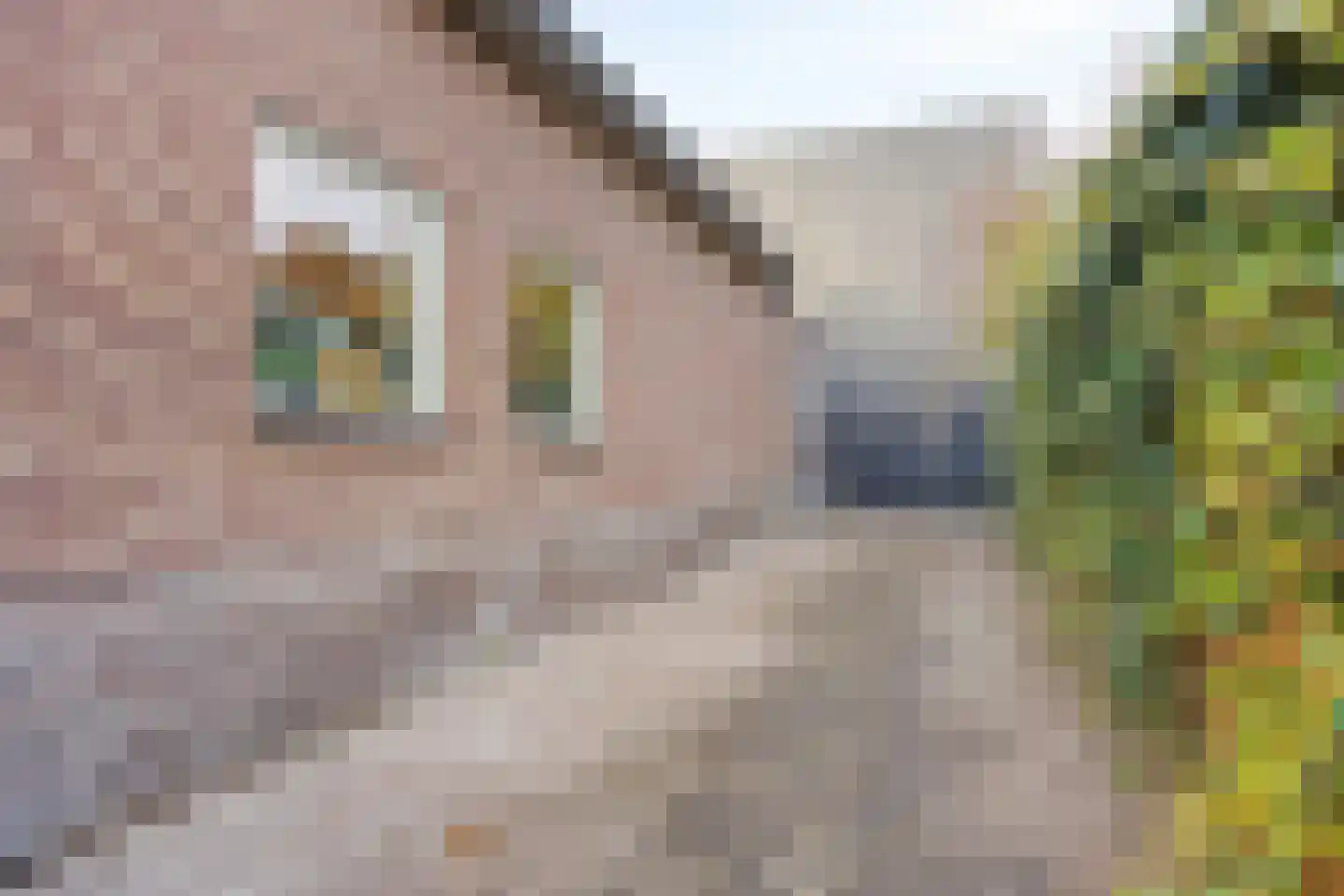 Oosteinde 21 Scherpenzeel thumbnail 45