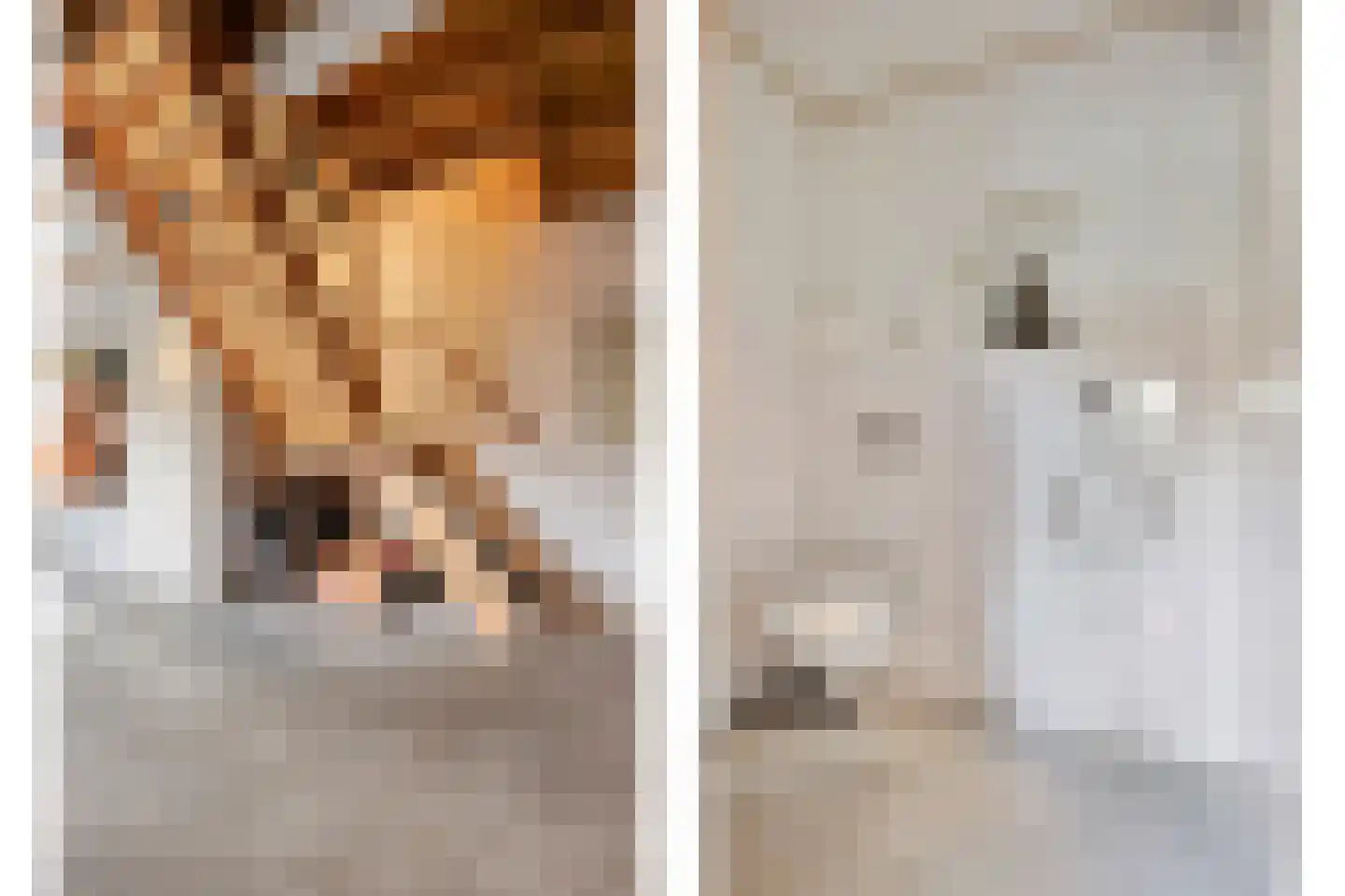 Oosteinde 21 Scherpenzeel thumbnail 48