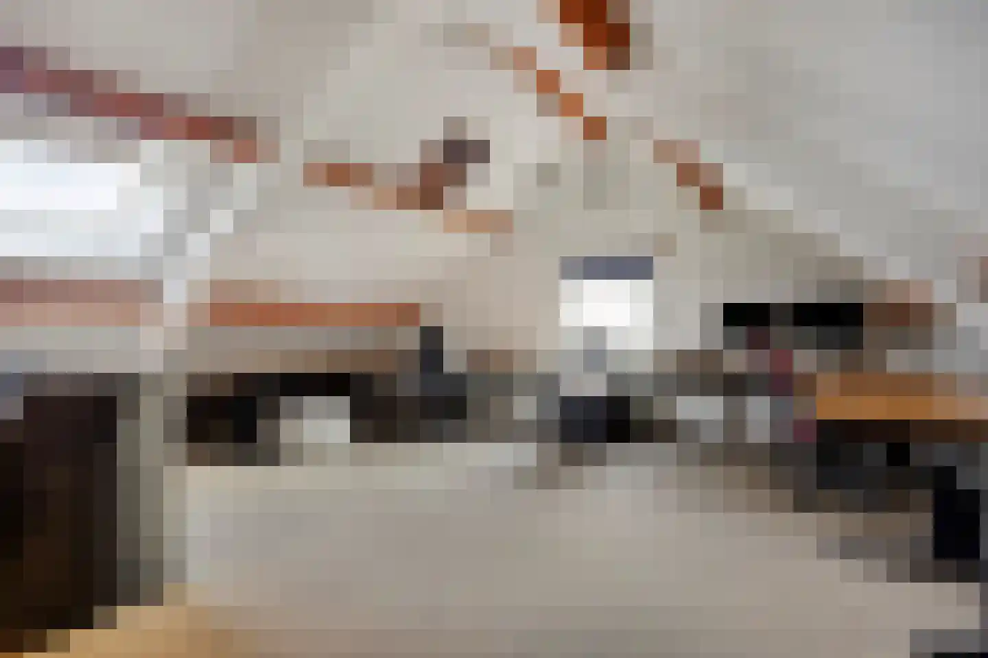 Oosteinde 21 Scherpenzeel thumbnail 50