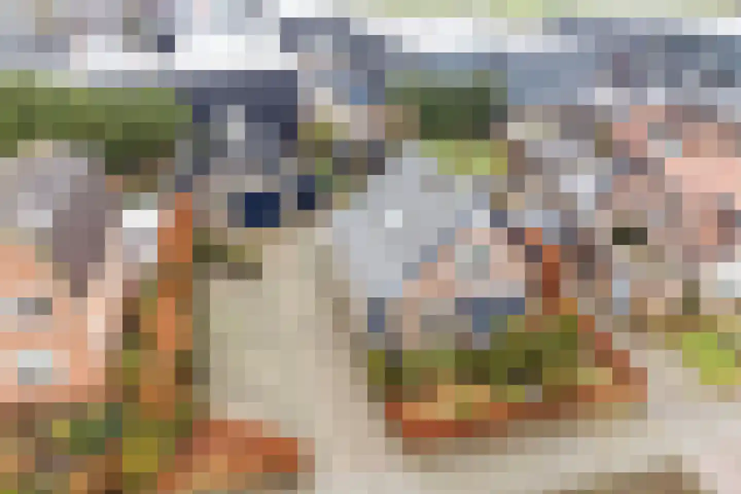 Oosteinde 21 Scherpenzeel thumbnail 58