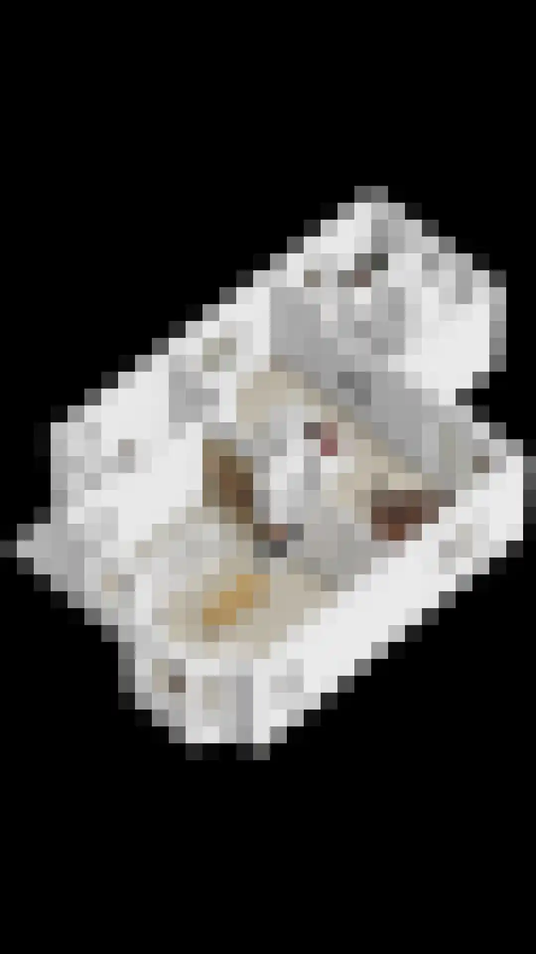 Oosteinde 21 Scherpenzeel thumbnail 66