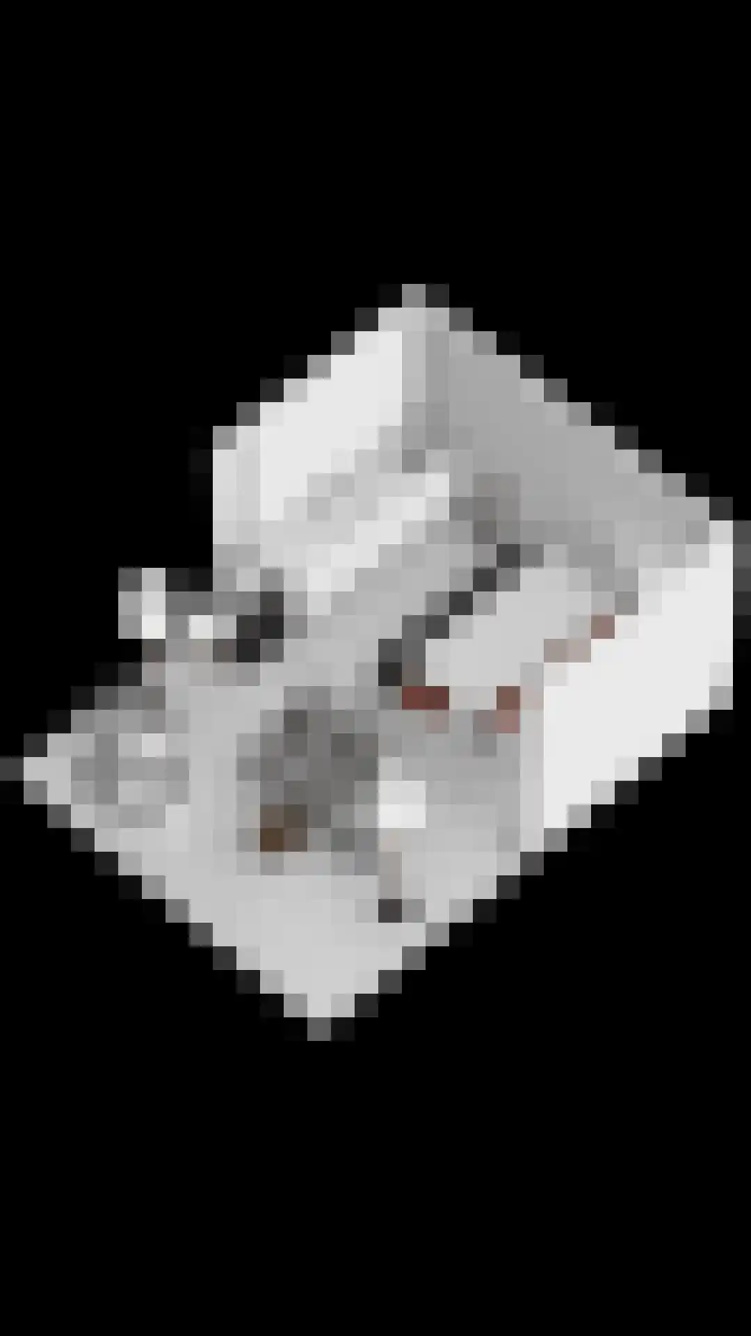 Oosteinde 21 Scherpenzeel thumbnail 69