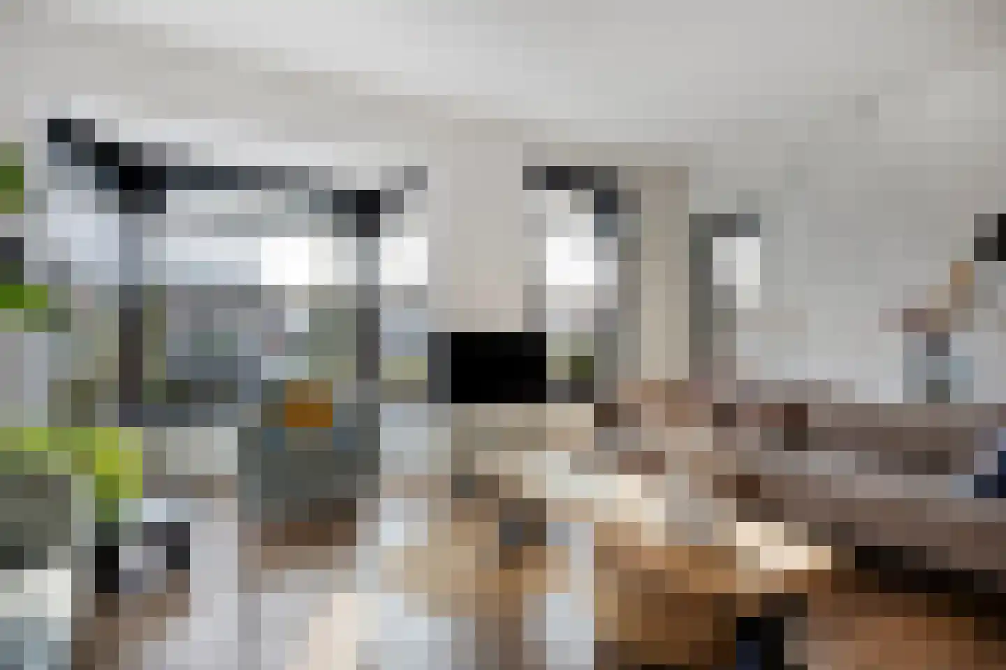 Oosteinde 21 Scherpenzeel thumbnail 7