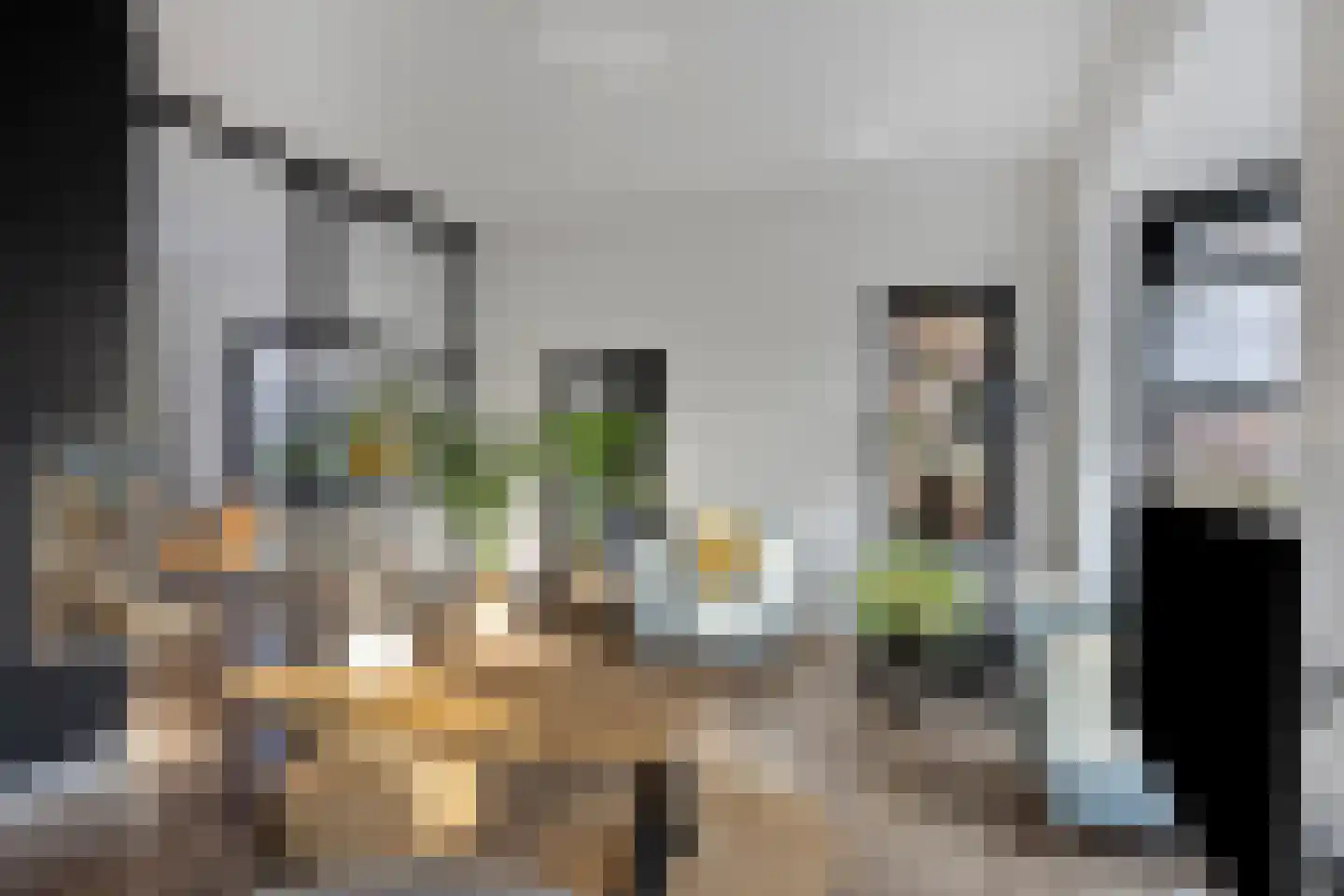 Oosteinde 21 Scherpenzeel thumbnail 9