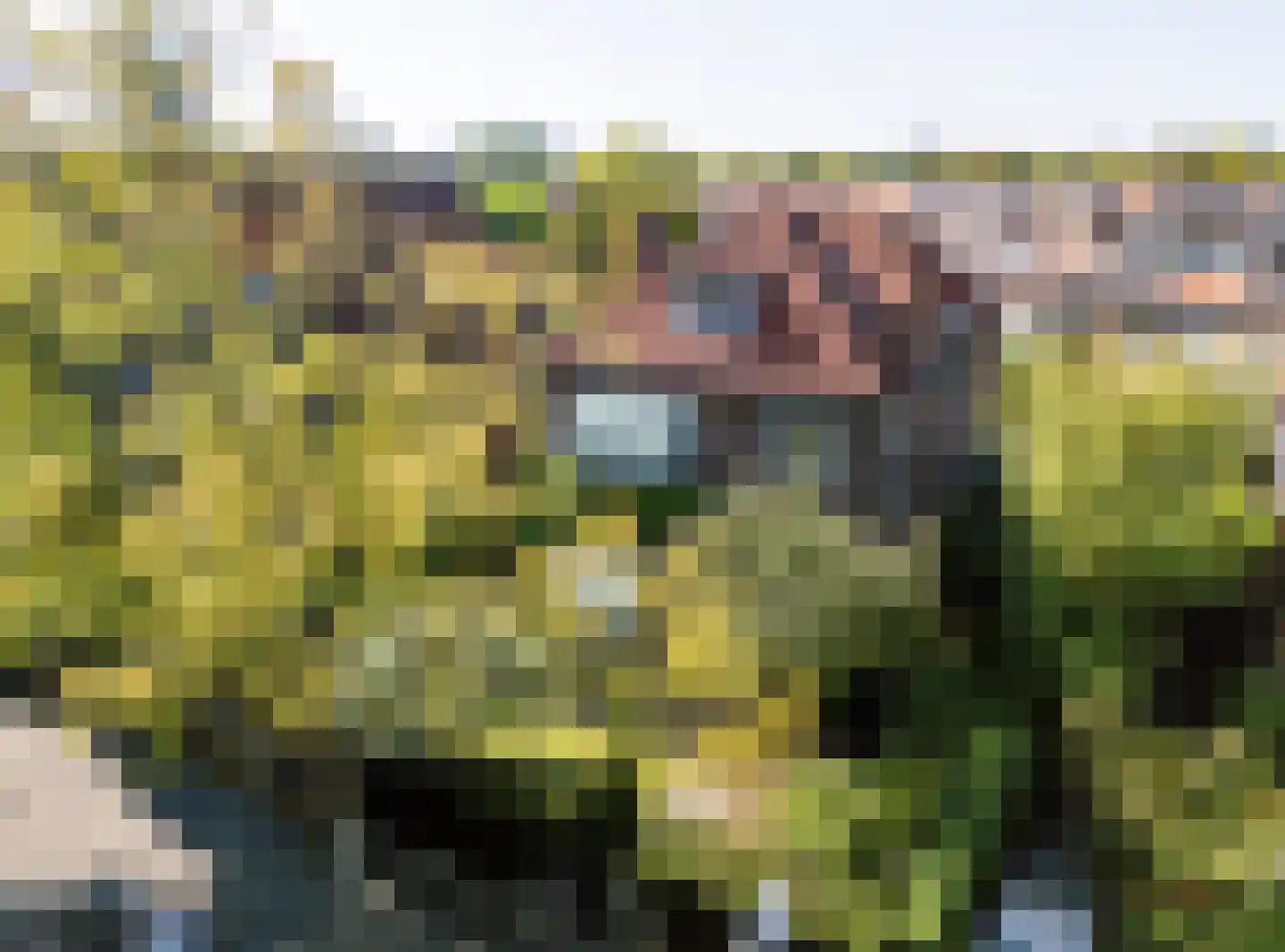 Oosteinde 213 Voorburg