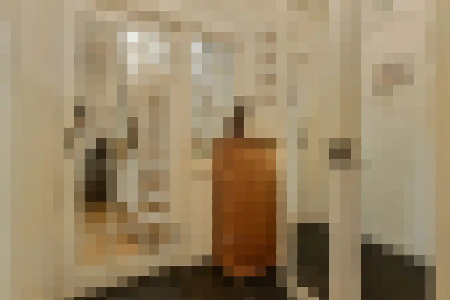 Oosteinde 213 Voorburg thumbnail 14