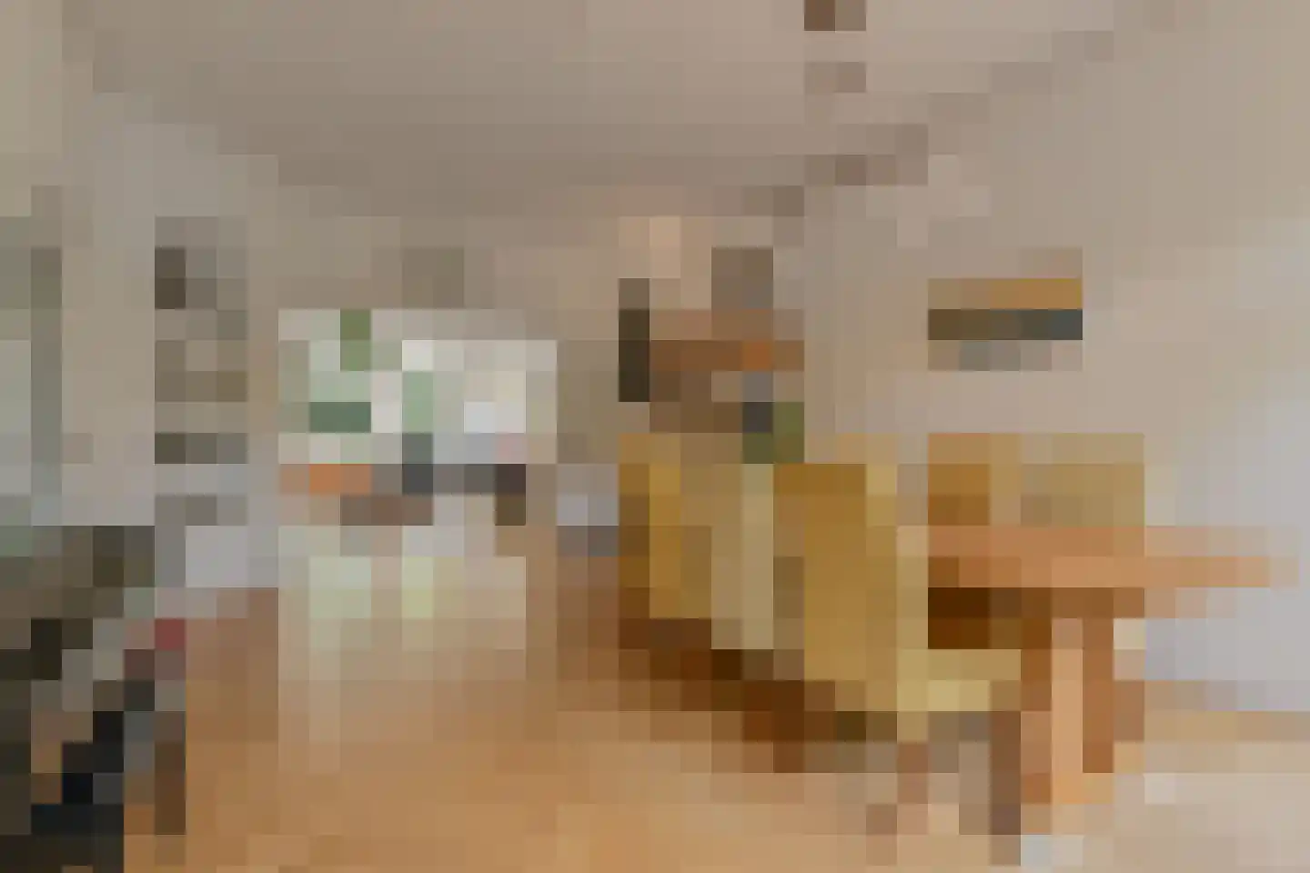 Oosteinde 213 Voorburg thumbnail 16