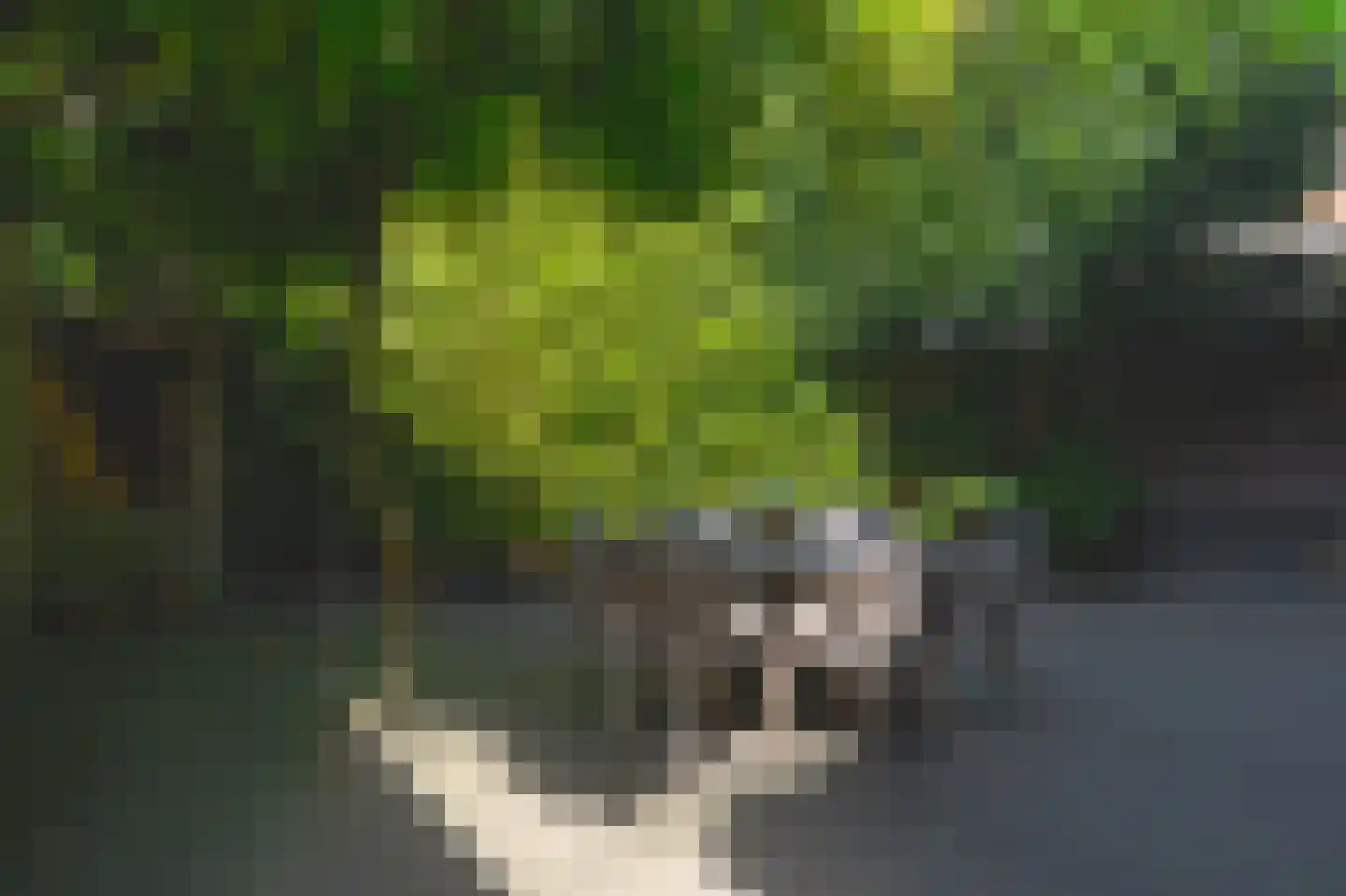 Oosteinde 213 Voorburg thumbnail 21