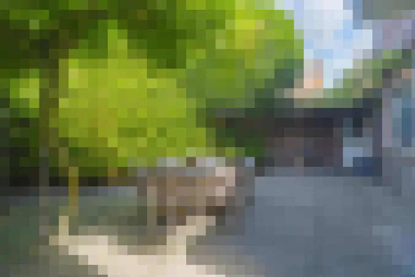 Oosteinde 213 Voorburg thumbnail 22