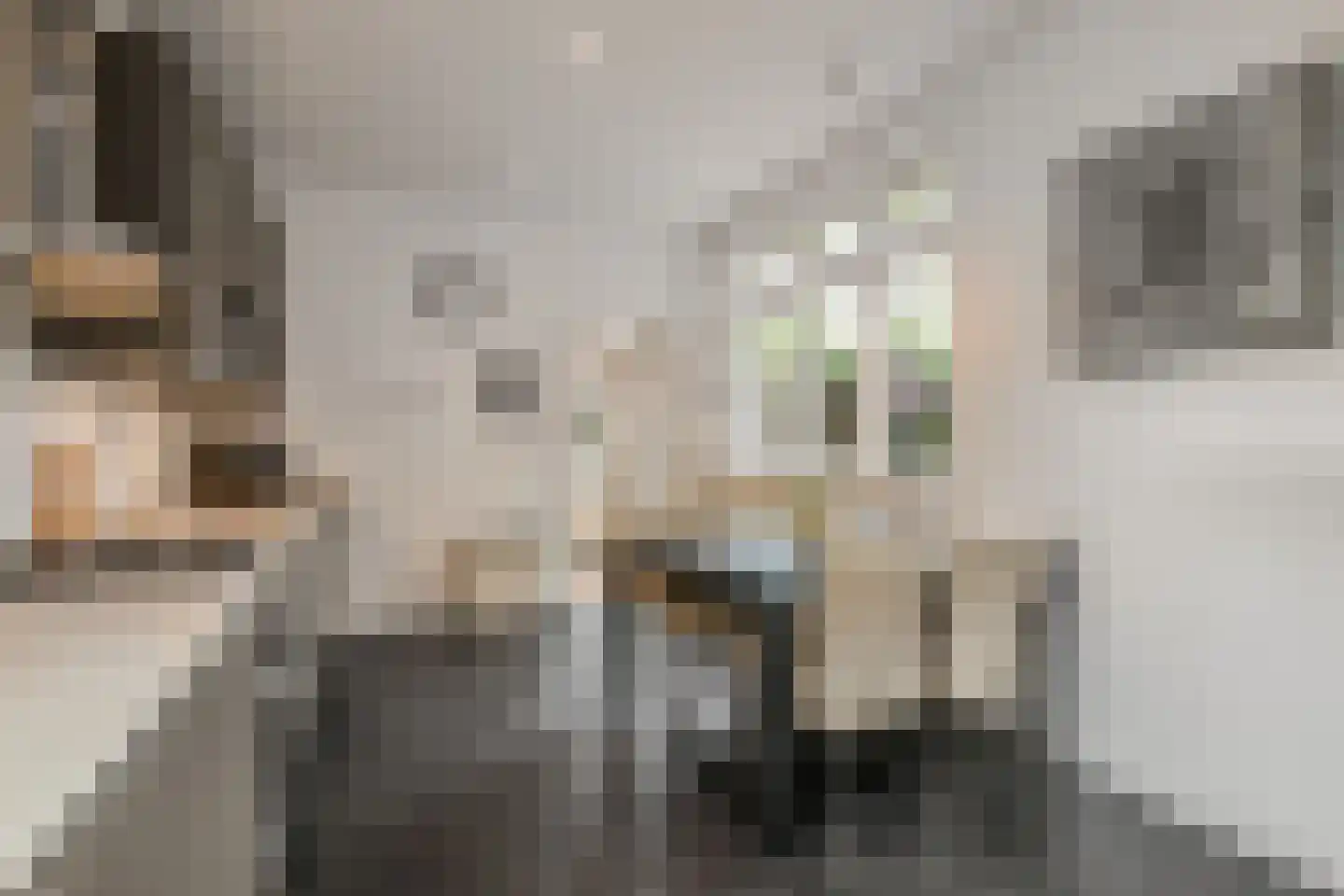 Oosteinde 213 Voorburg thumbnail 24