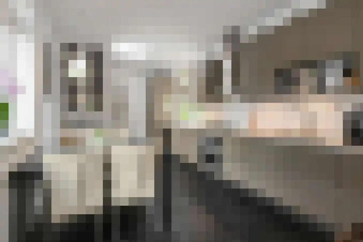 Oosteinde 213 Voorburg thumbnail 25