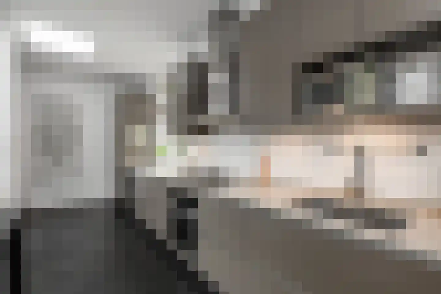 Oosteinde 213 Voorburg thumbnail 26