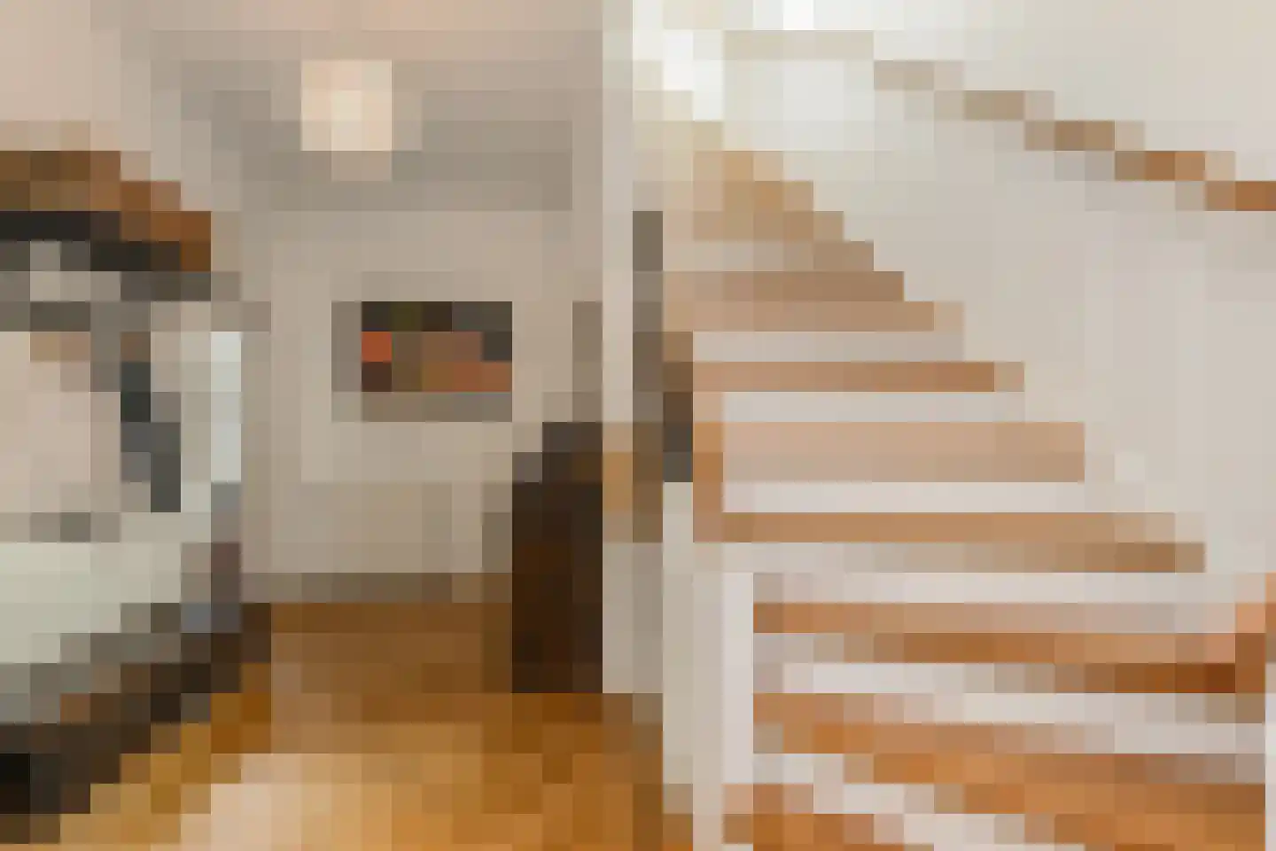 Oosteinde 213 Voorburg thumbnail 27