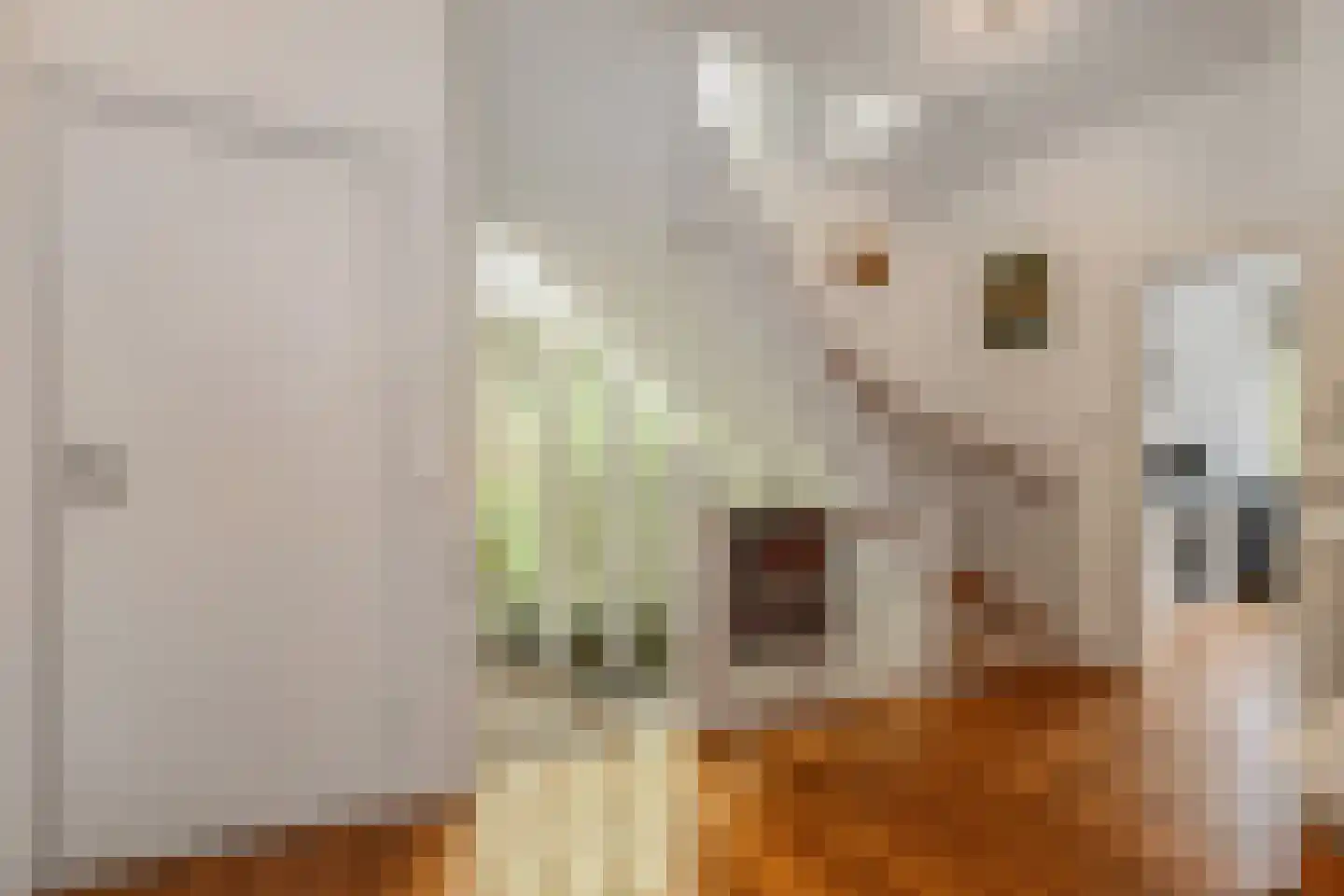 Oosteinde 213 Voorburg thumbnail 28