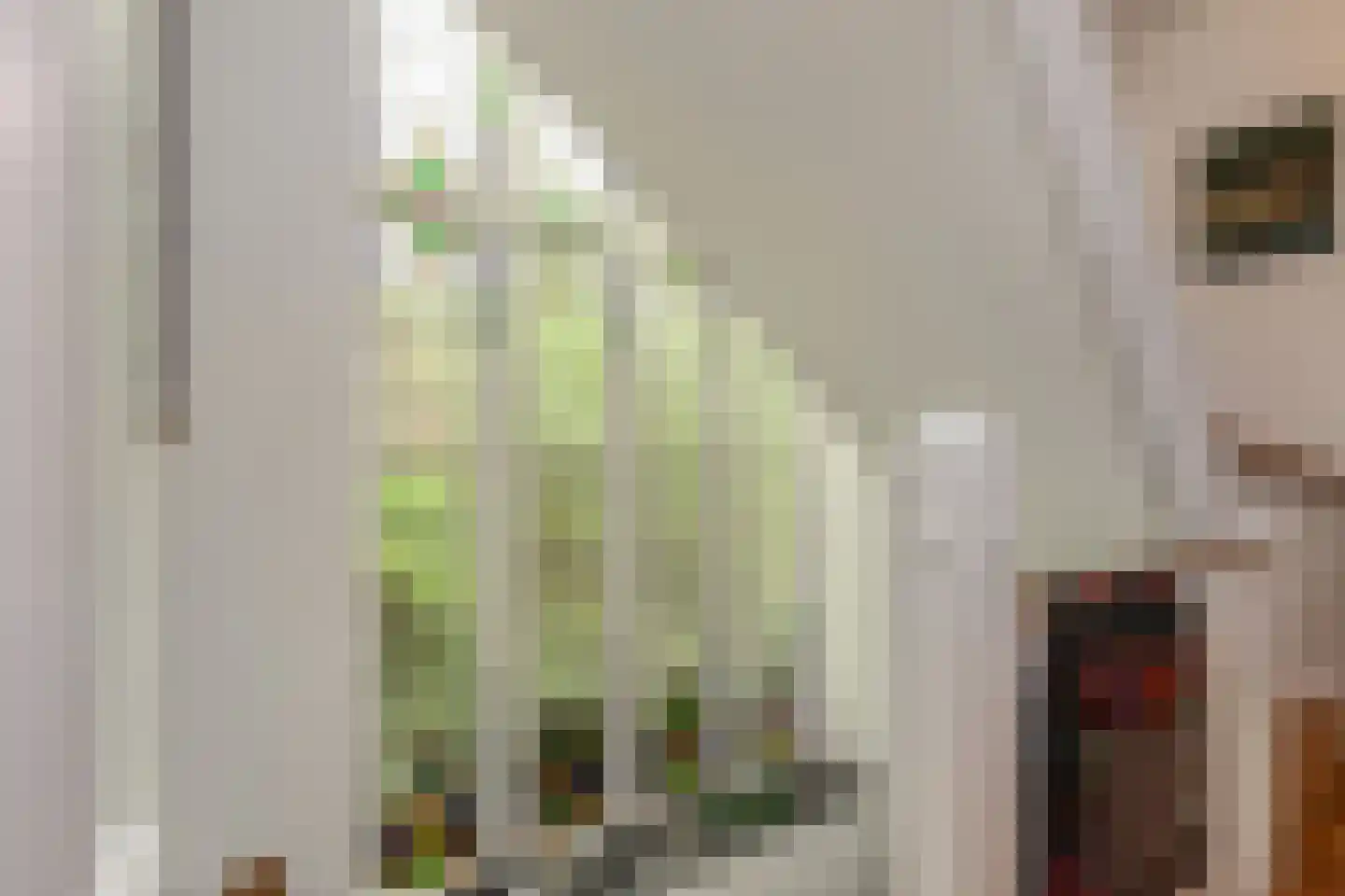 Oosteinde 213 Voorburg thumbnail 29